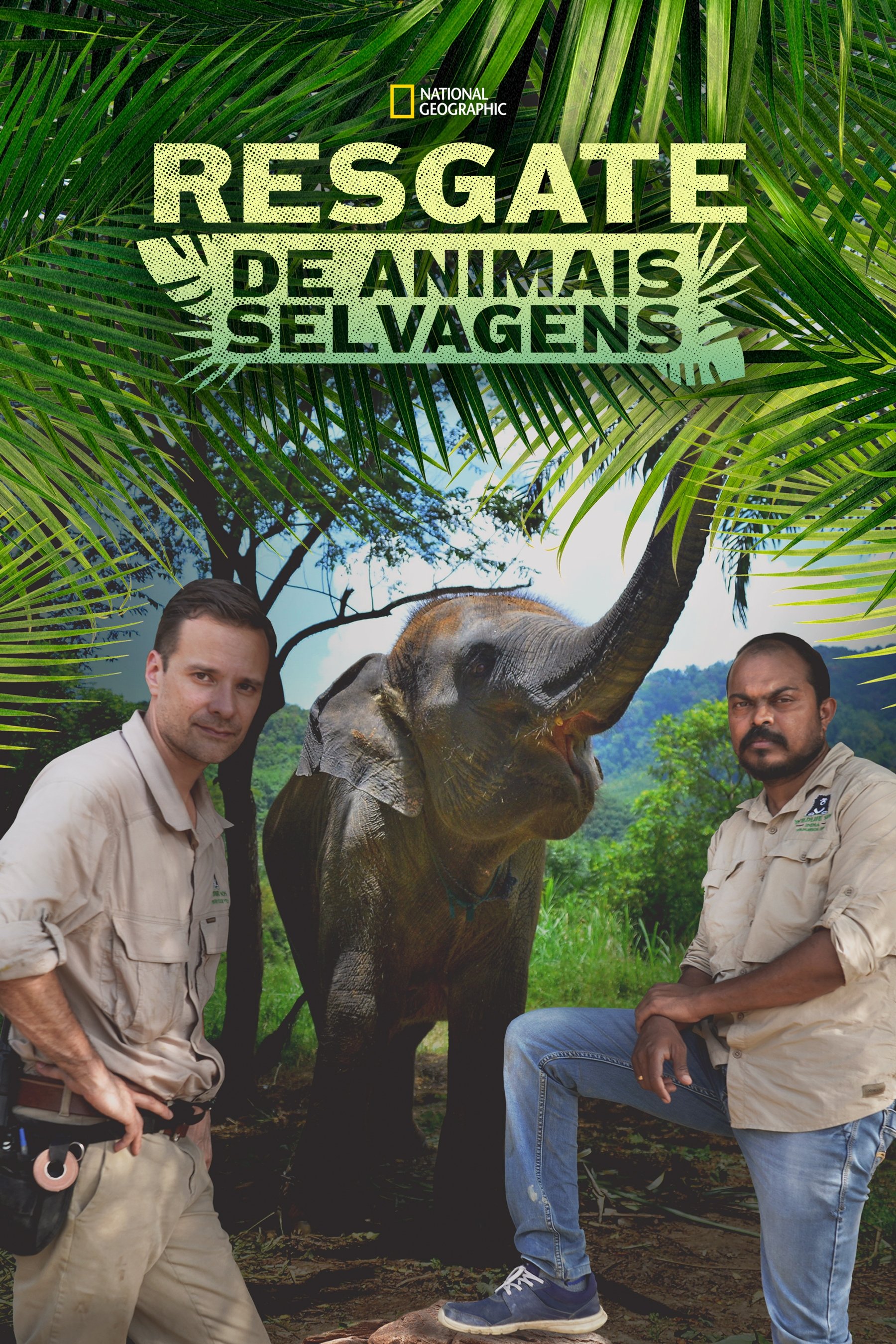 Poster de Heróis da Selva