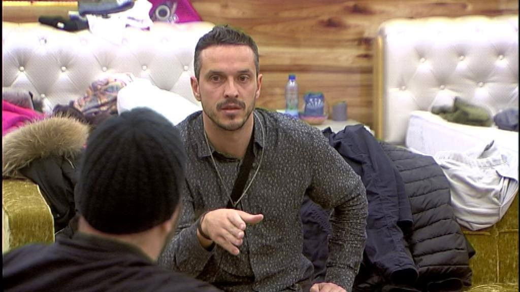 VIP Brother 2016 - Daily