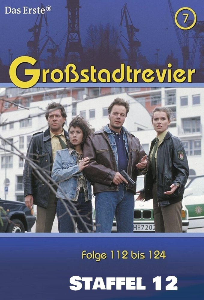 Poster de Temporada 12