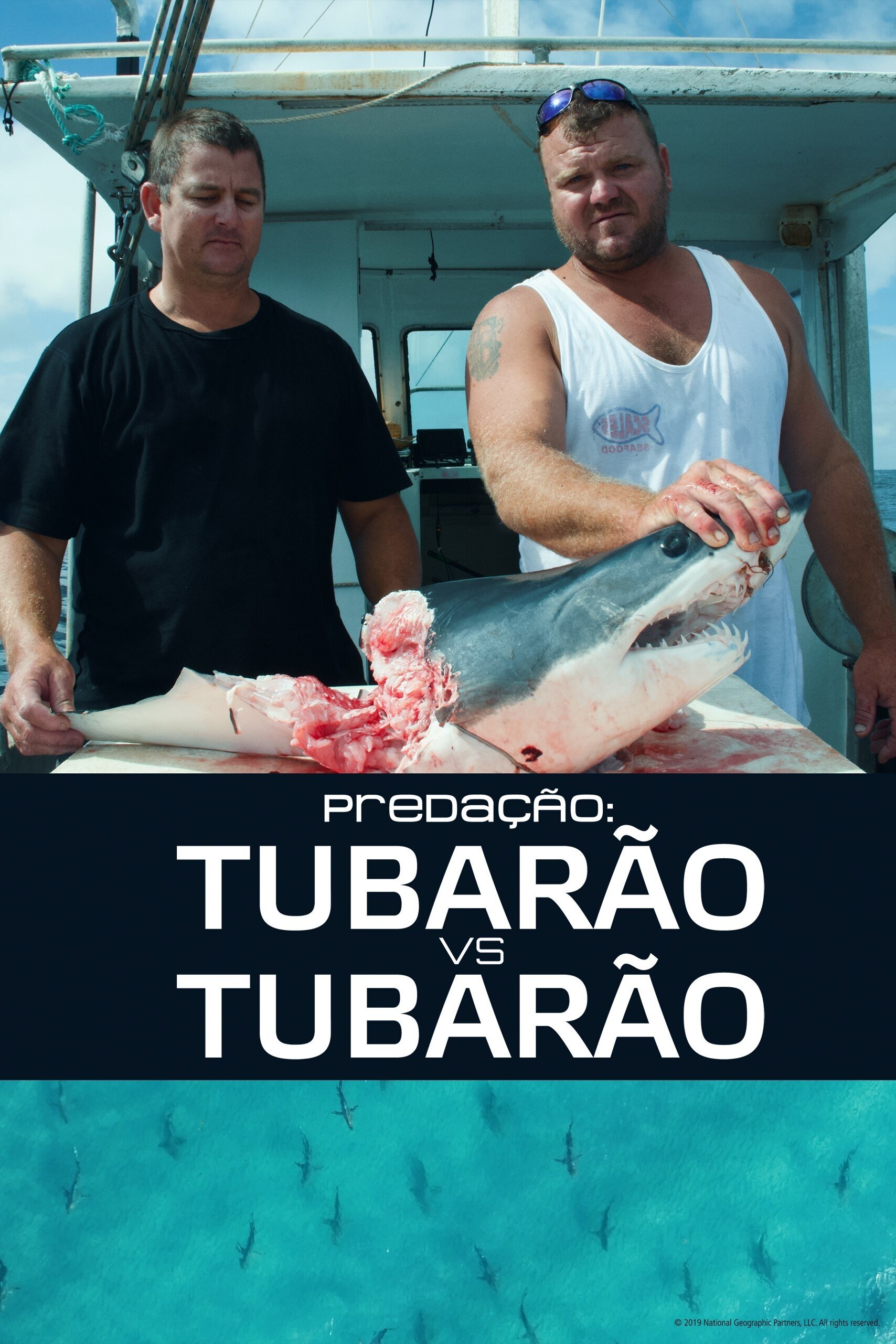 Poster de Predação: Tubarão vs. Tubarão