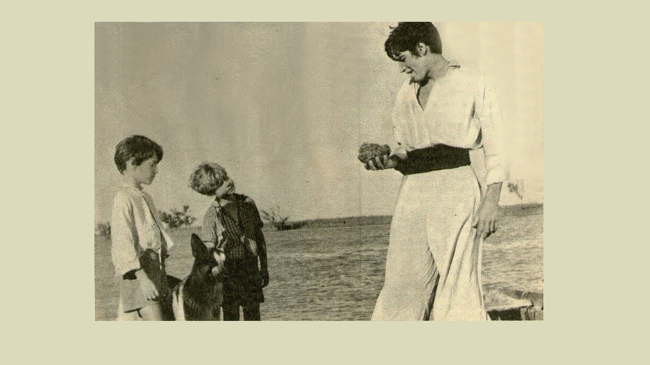 Director