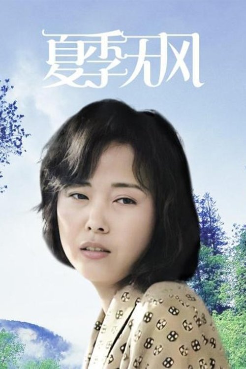 Poster de 夏季无风