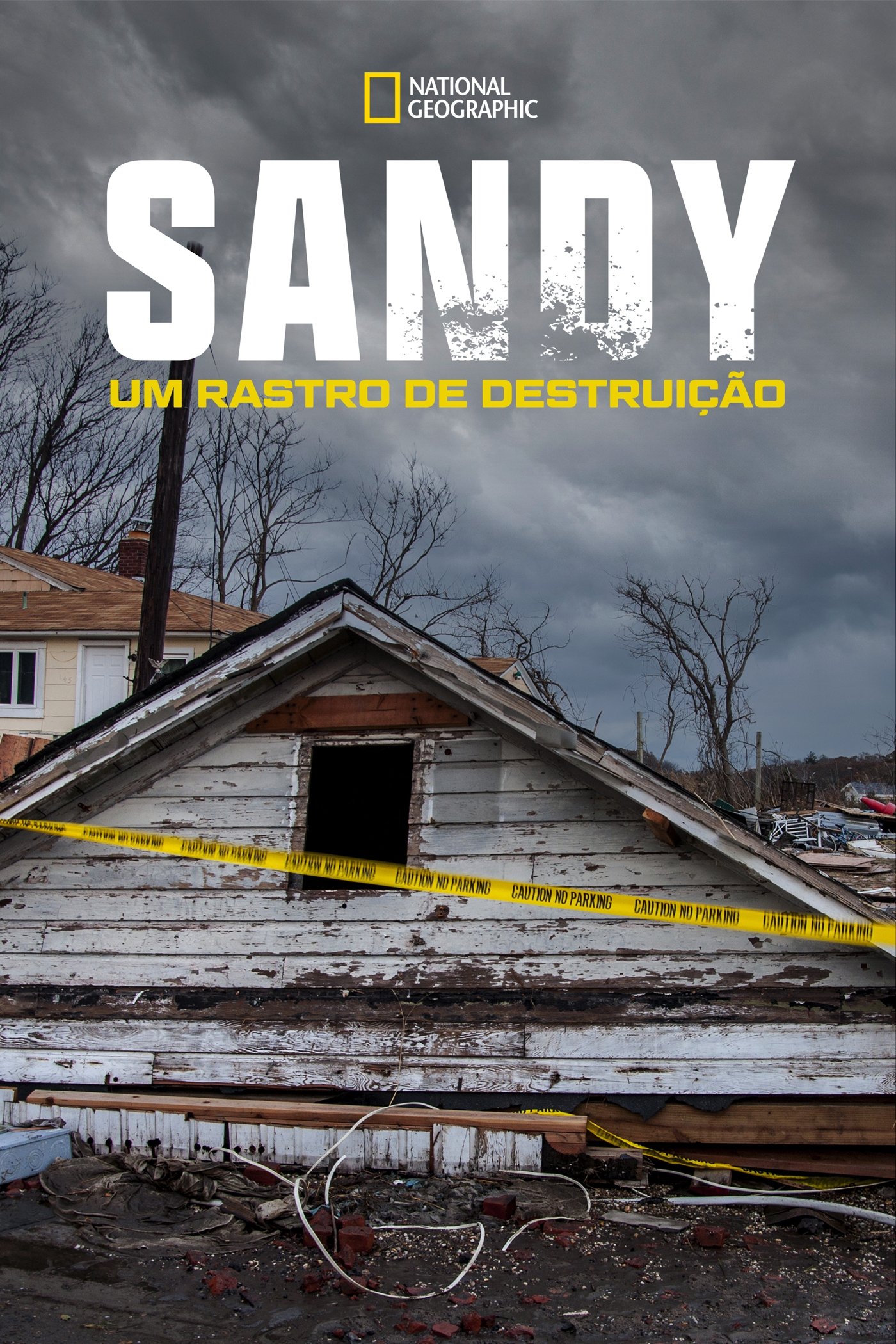 Poster de Sandy: Um Rastro de Destruição