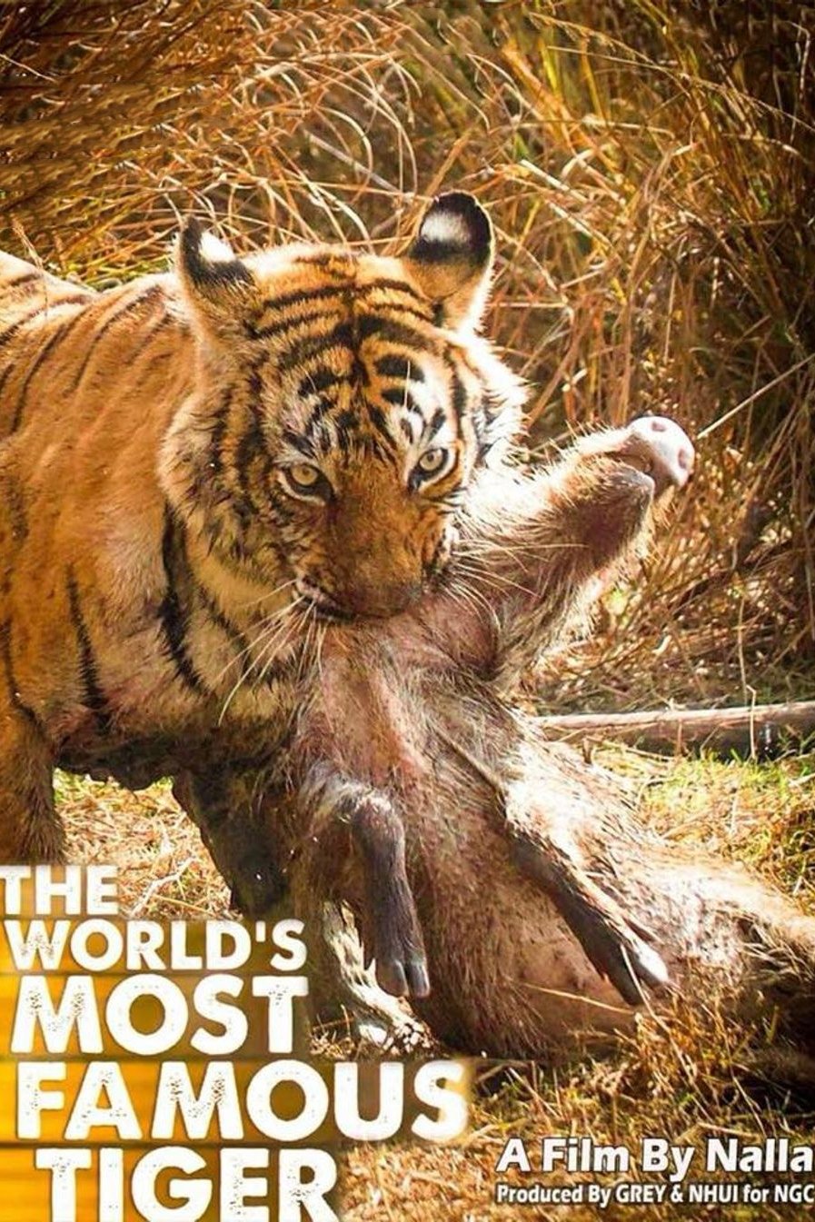 Poster de A Tigresa Mais Famosa do Mundo