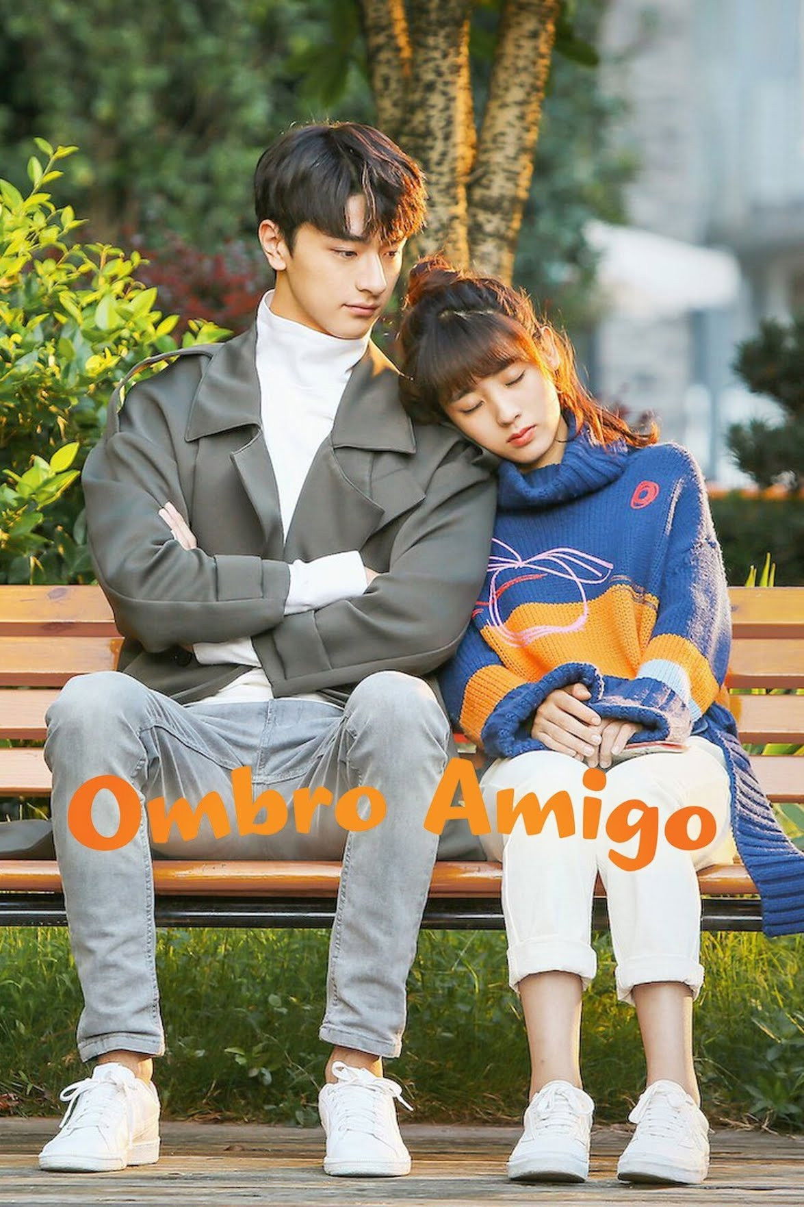 Poster de Ombro Amigo
