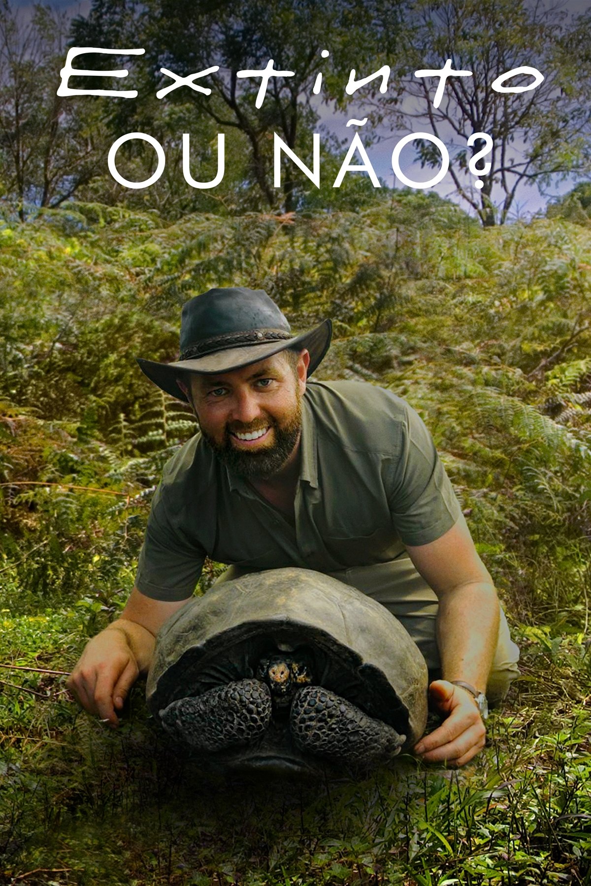 Poster de Extinto ou Não?
