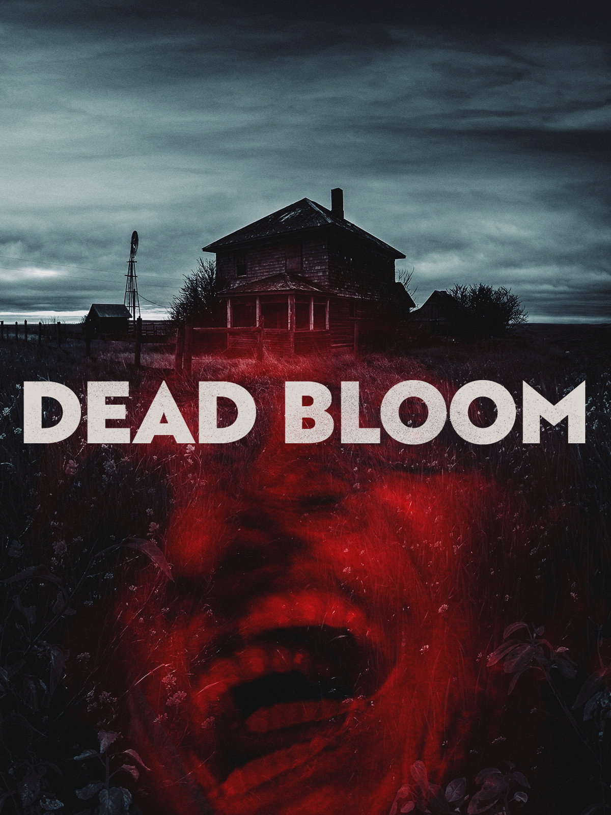 Backdrop