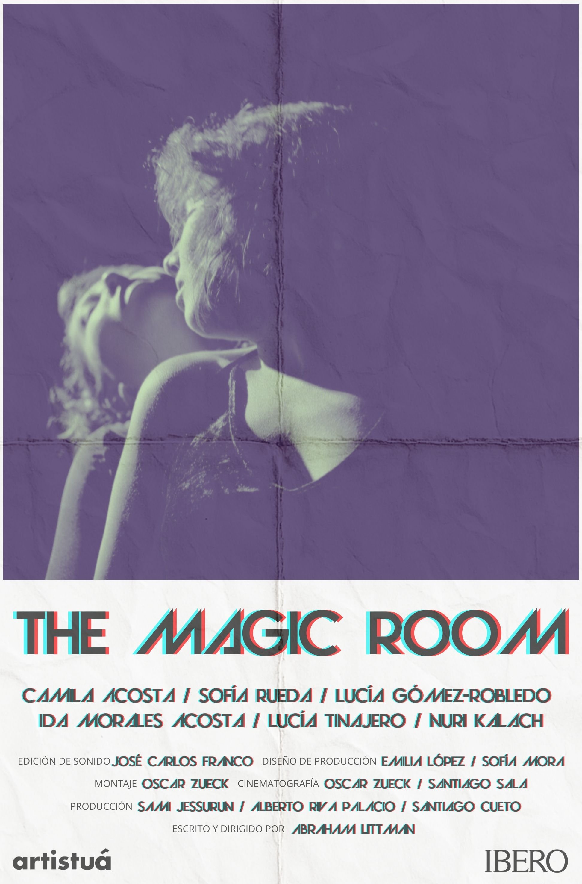 Poster de The Magic Room