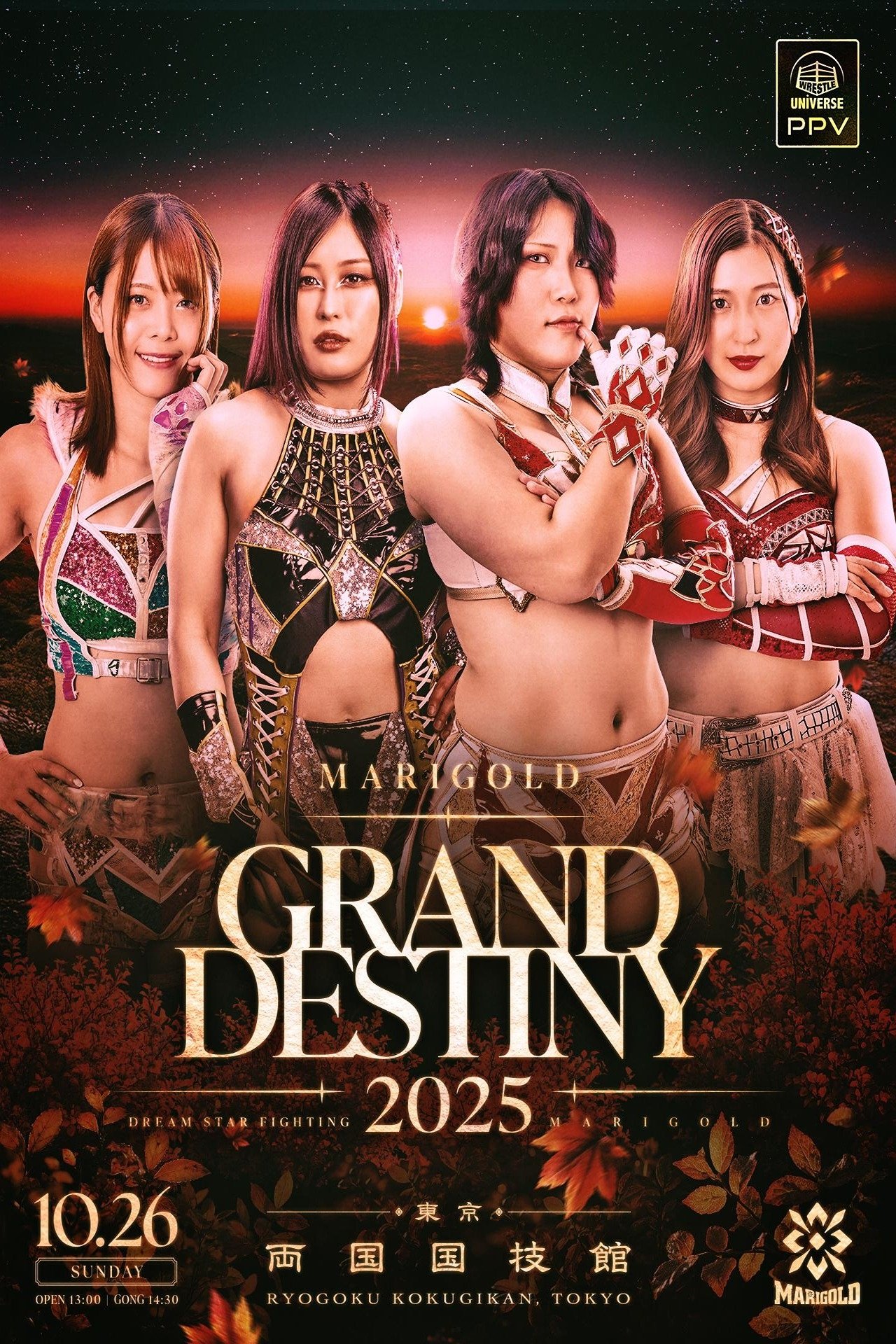 Poster de Marigold Grand Destiny