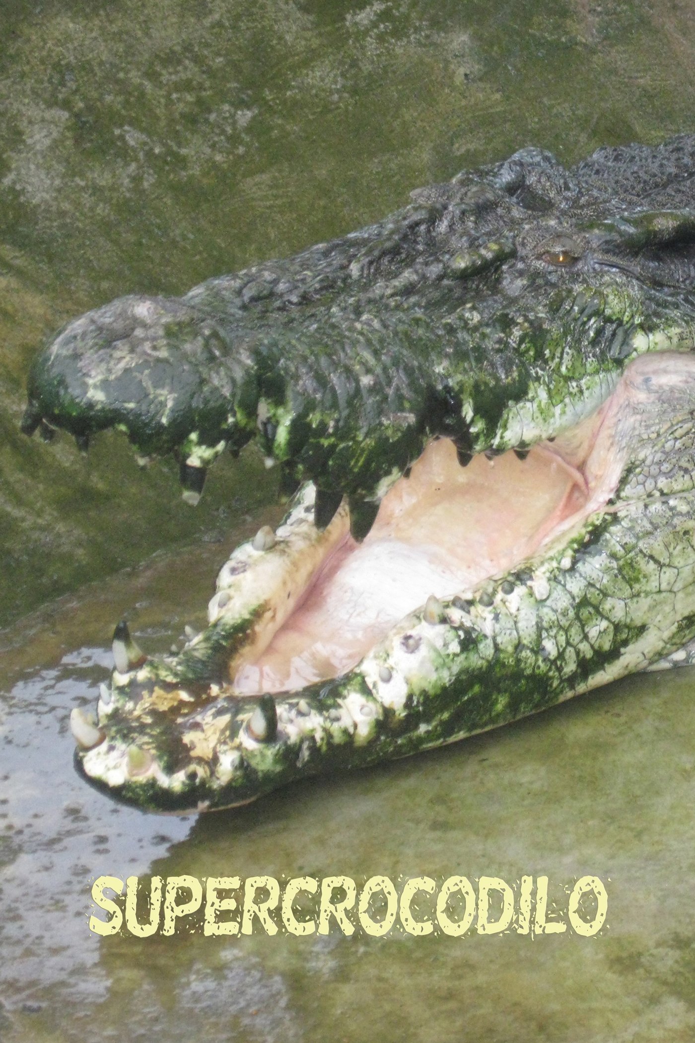 Poster de Supercrocodilo