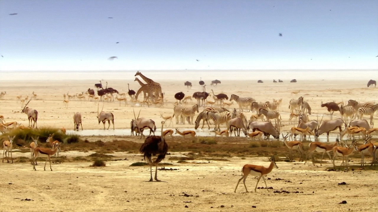 The Greatest Show on Earth