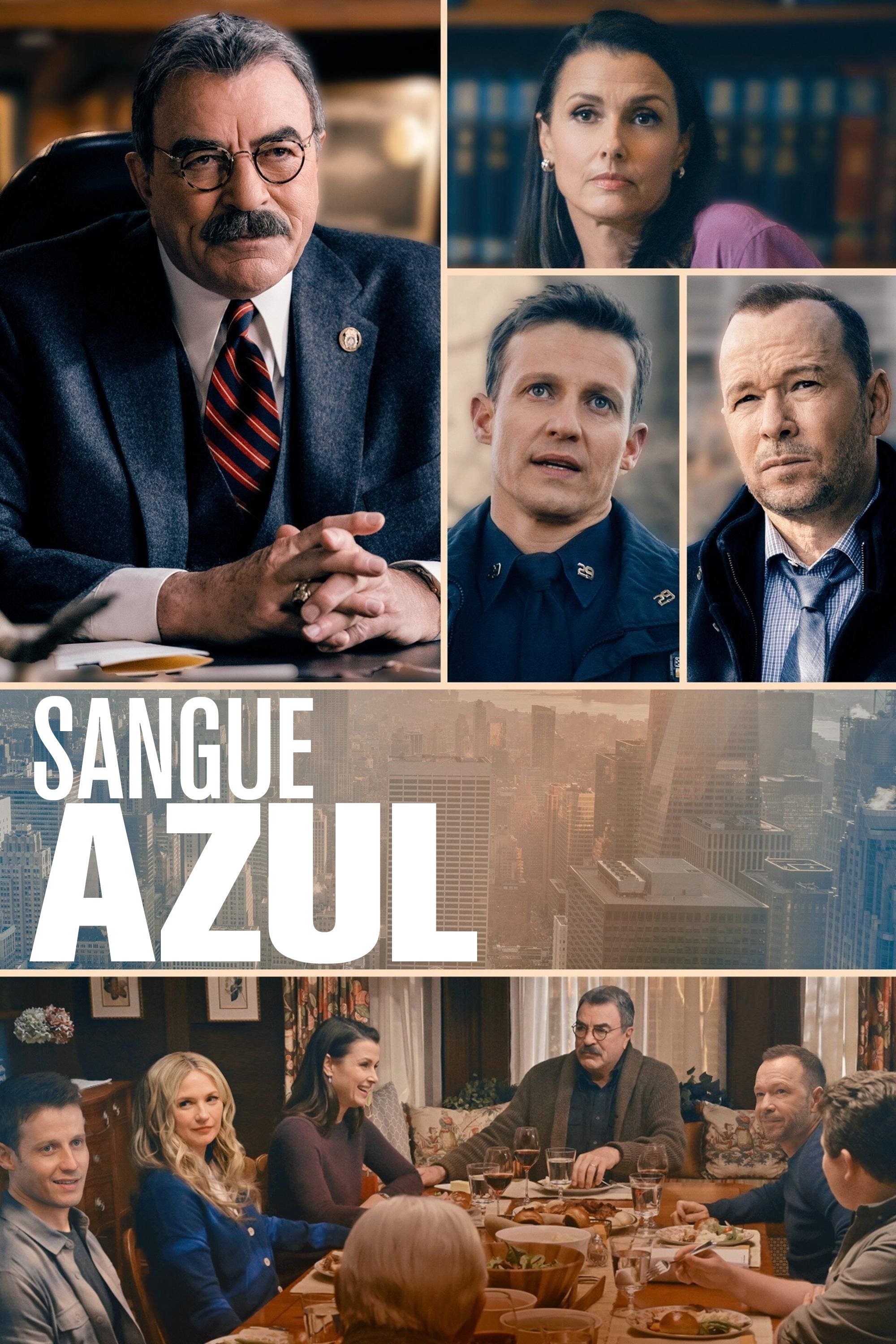 Poster de Temporada 13