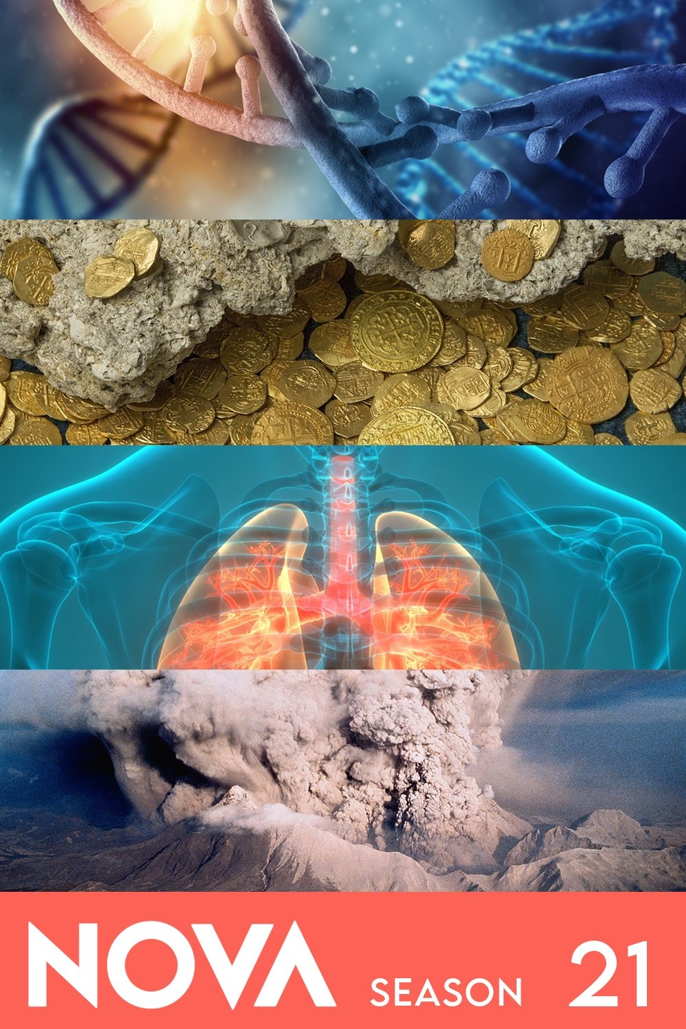 Poster de Temporada 21