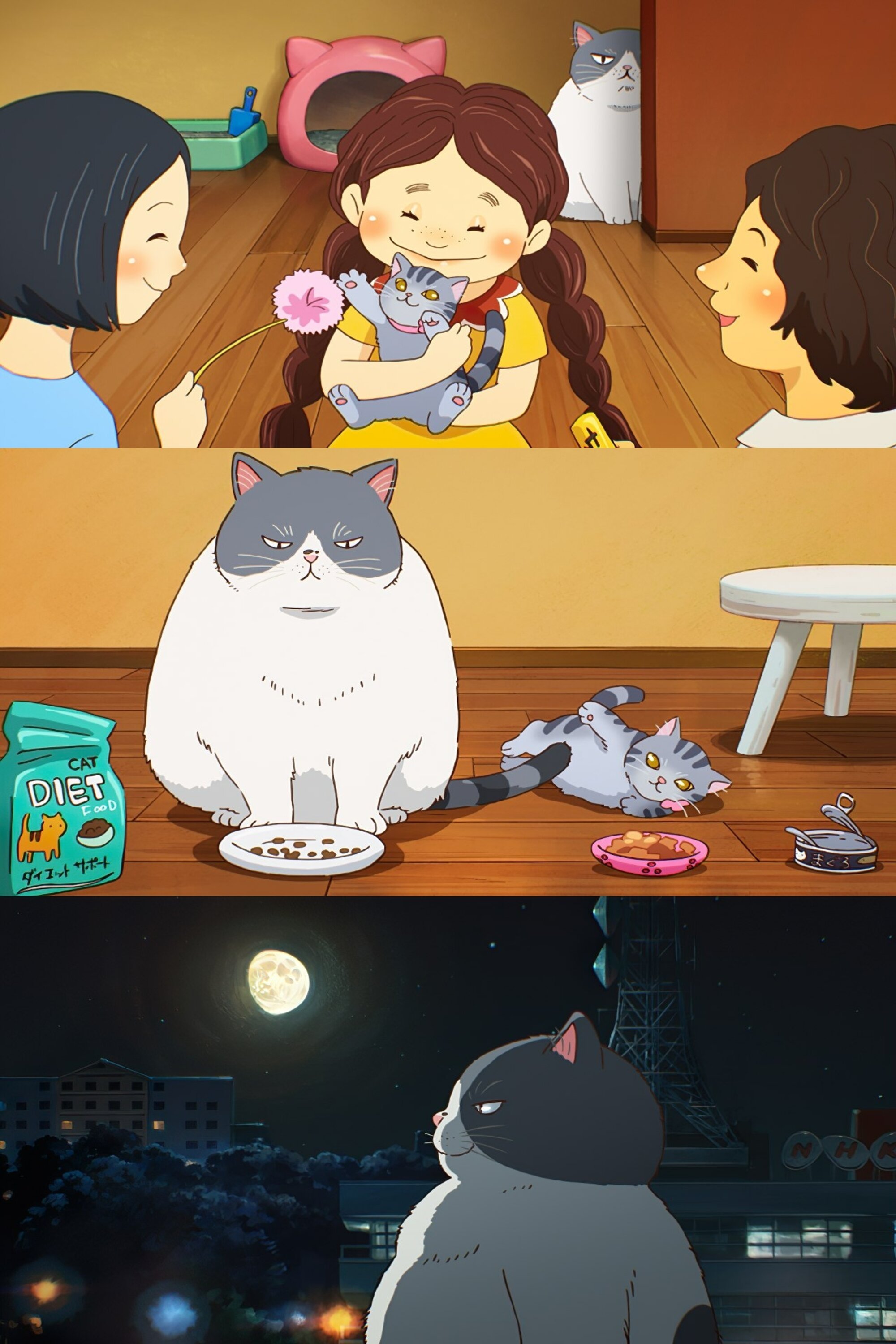 Poster de かなしきデブ猫ちゃん