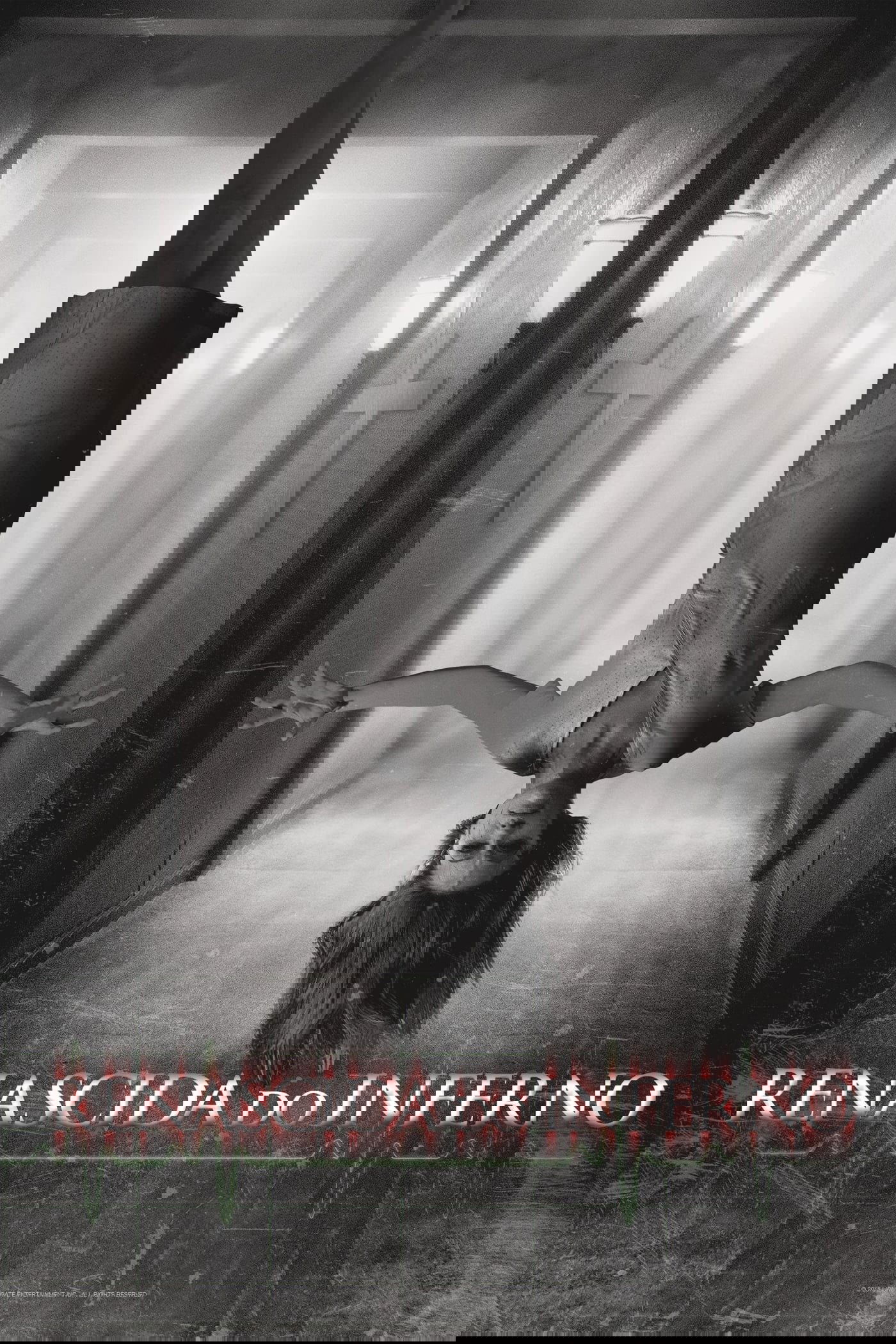 Poster de Renascida do Inferno