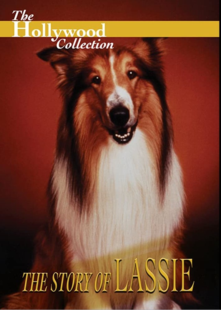 Affiche du film The Story of Lassie
