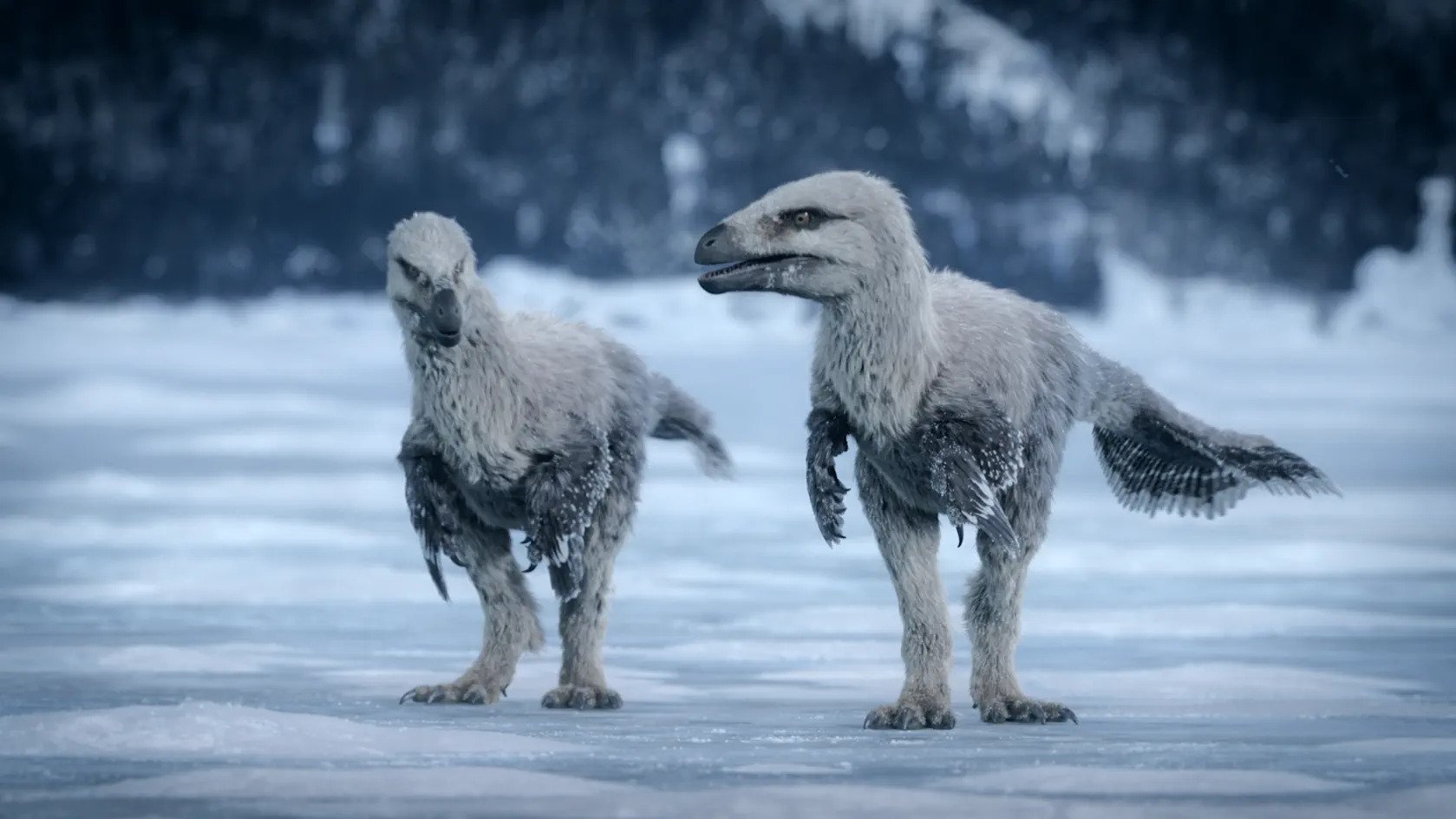 Nature's Greatest Show