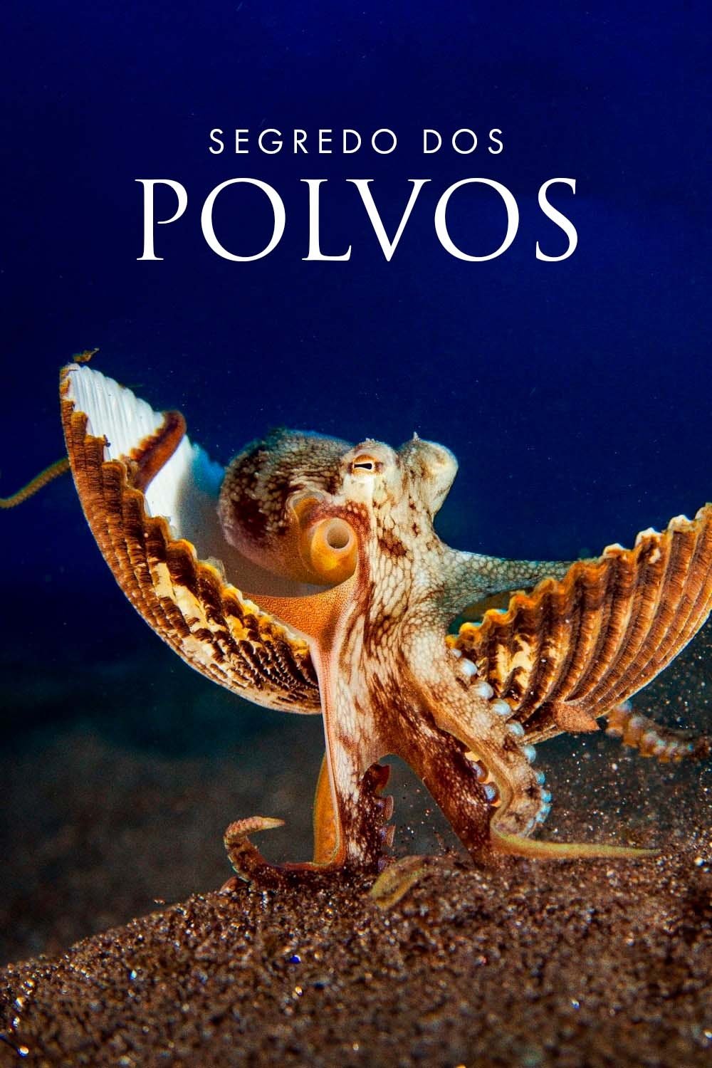 Poster de Segredos dos Polvos