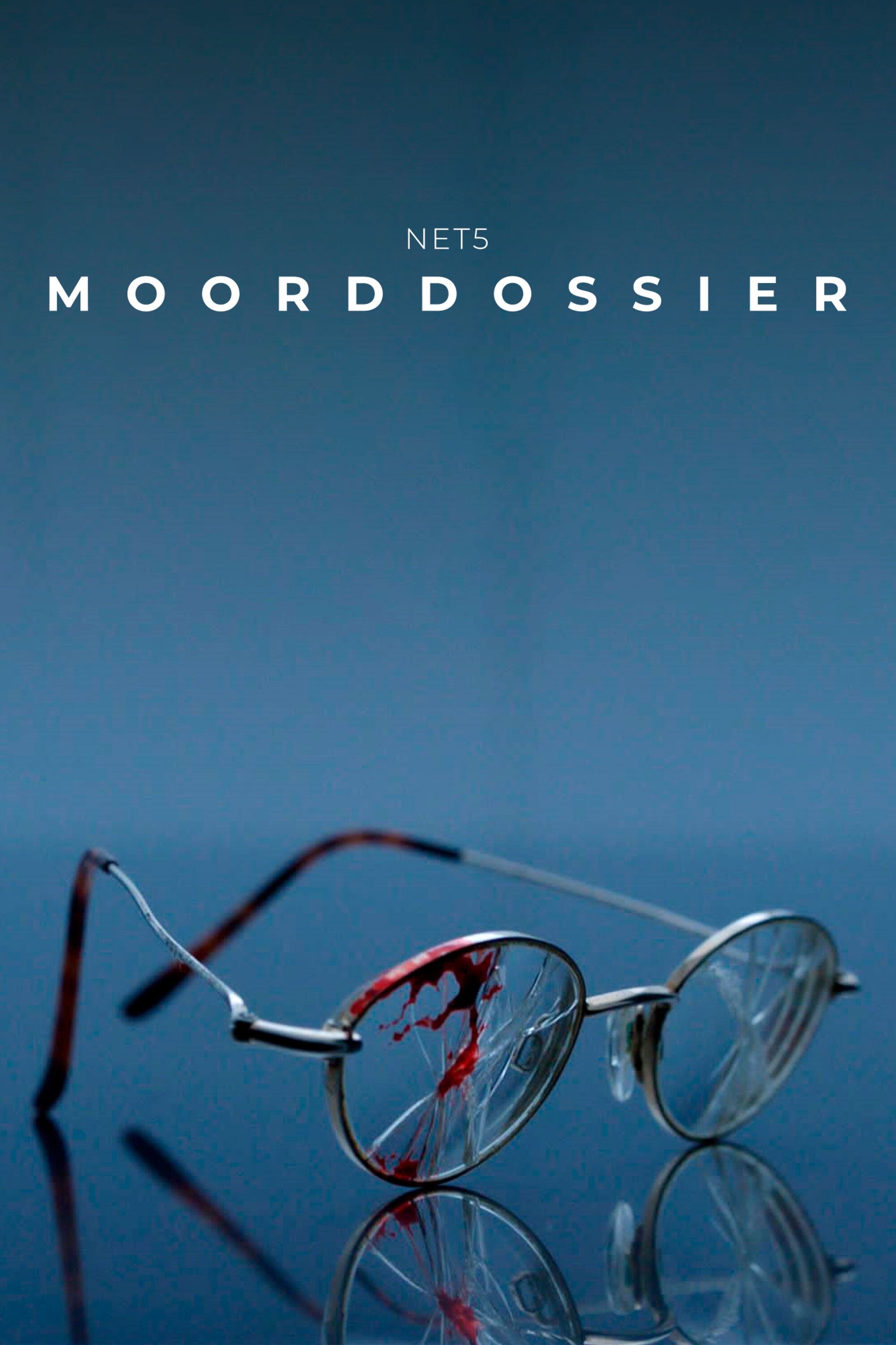 Poster de Moorddossier