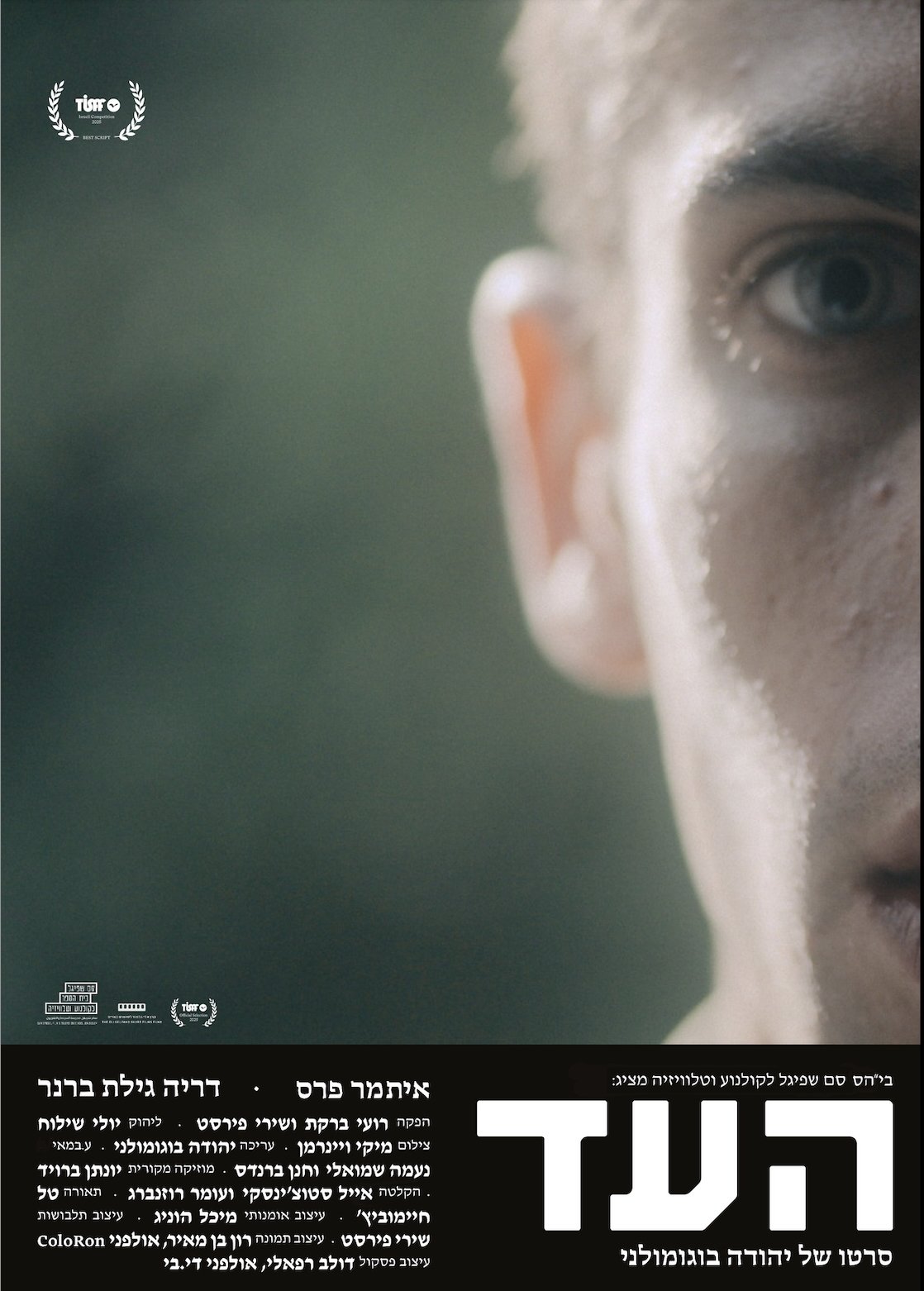 Poster de The Witness (Ha'ed)