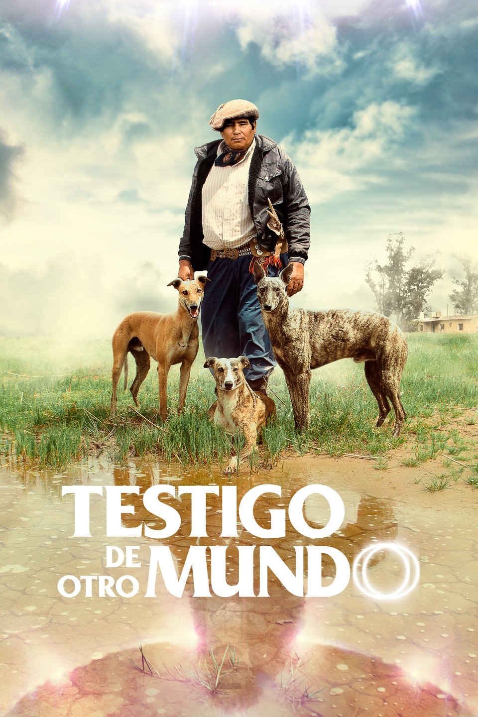 Poster de Testigo de Otro Mundo