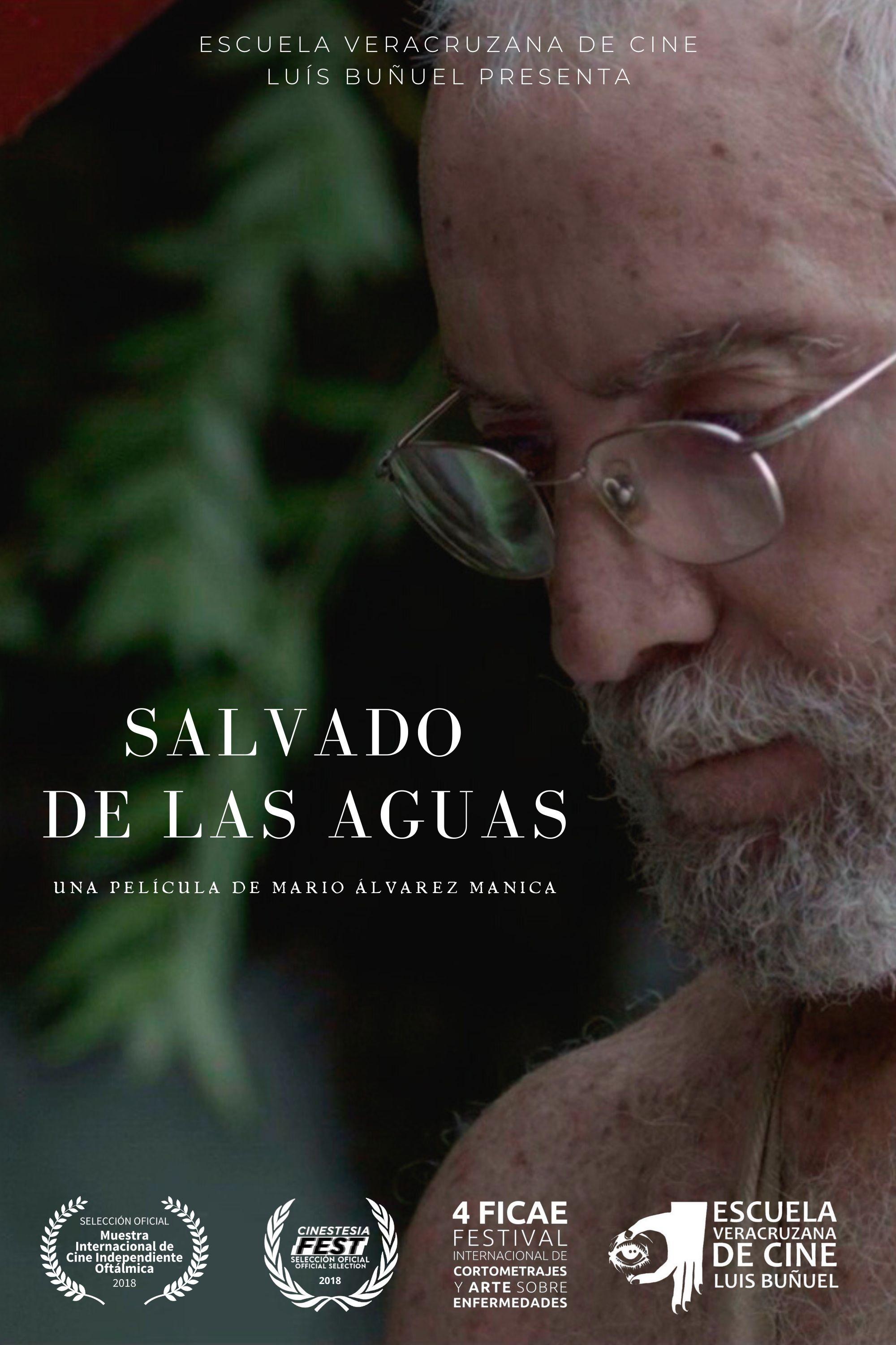 Poster de Saved From The Waters