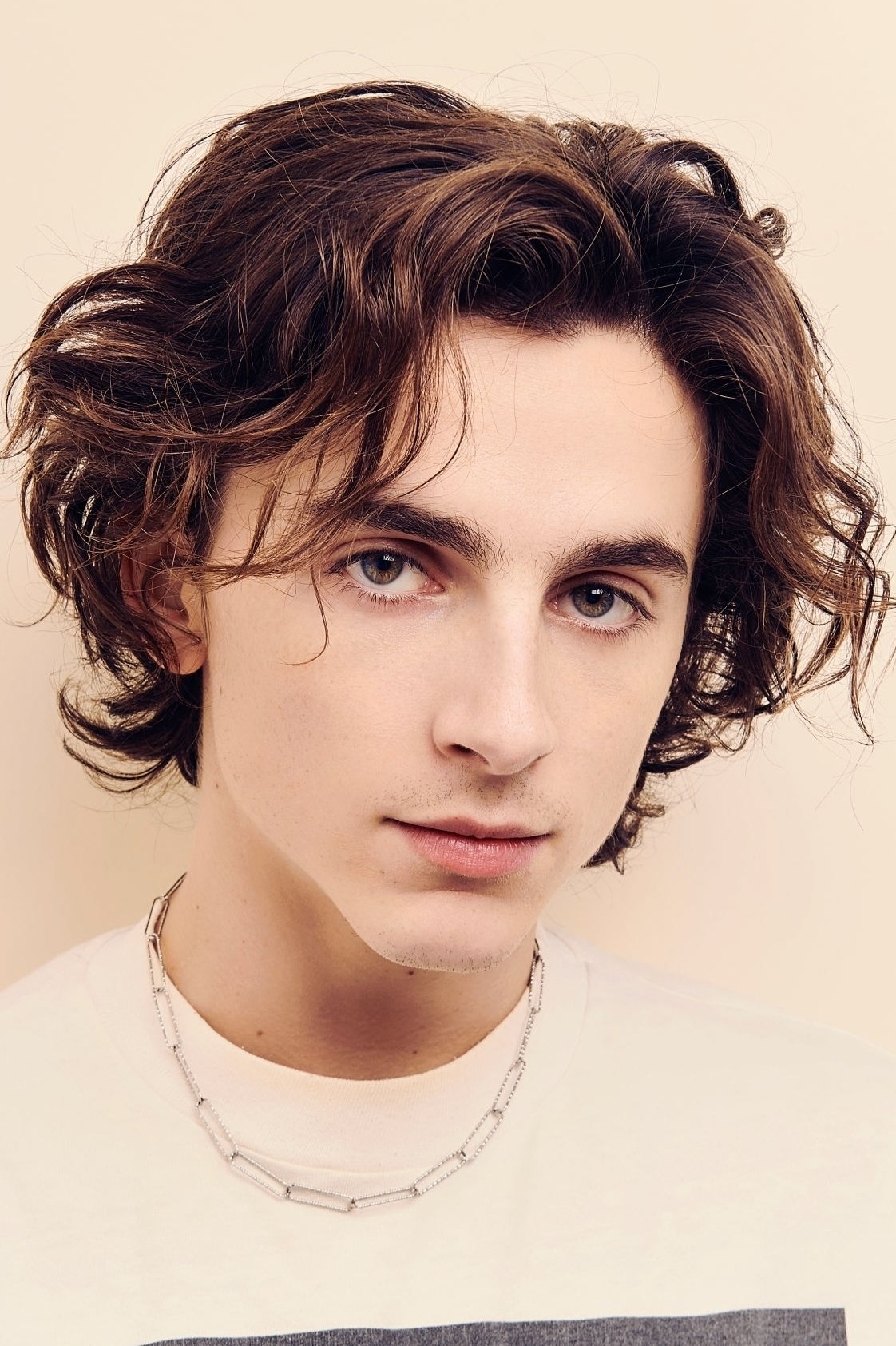 Foto de Timothée Chalamet