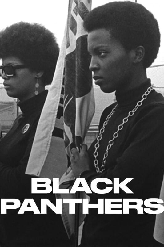 Poster de Black Panthers