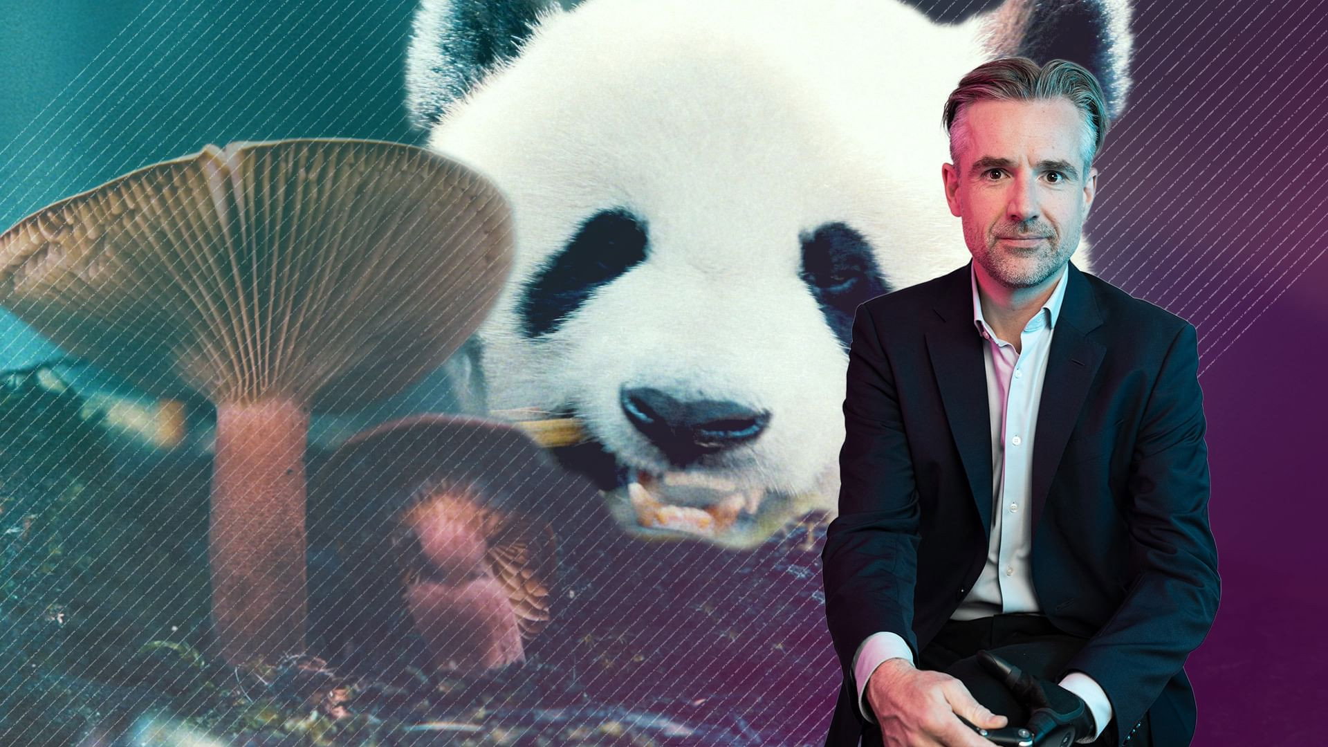 Biodiversity: Are We Protecting the Right Species?