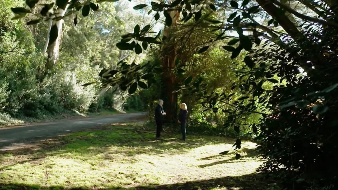 Episode 28 Hanging Planters, Design Tips & Urban Greening