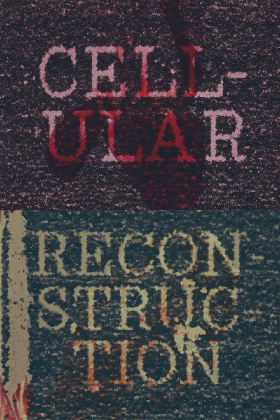 Poster de Cellular Reconstruction