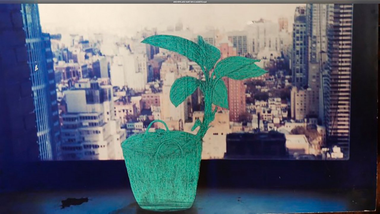 Backdrop image