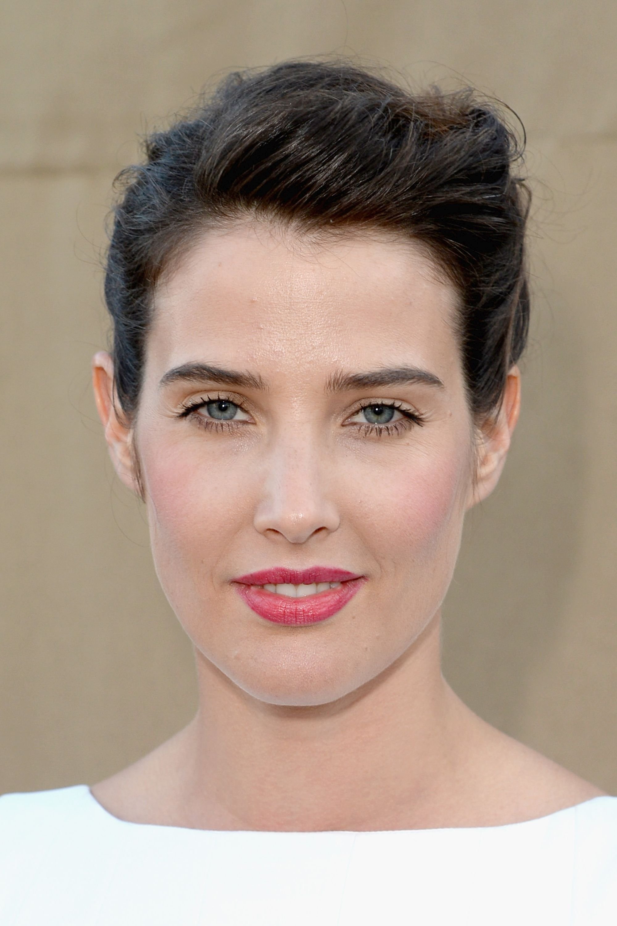 Foto de Cobie Smulders