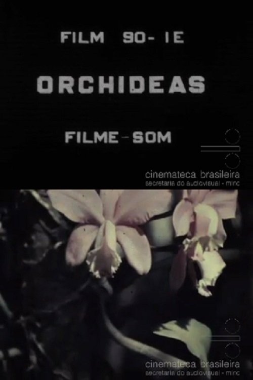 Poster de Orquídeas