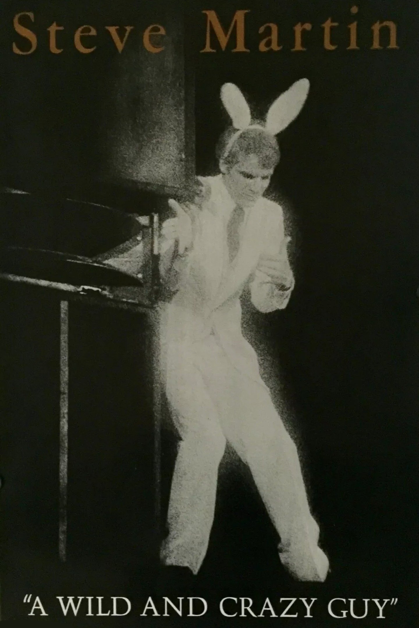 Poster de Steve Martin: A Wild and Crazy Guy
