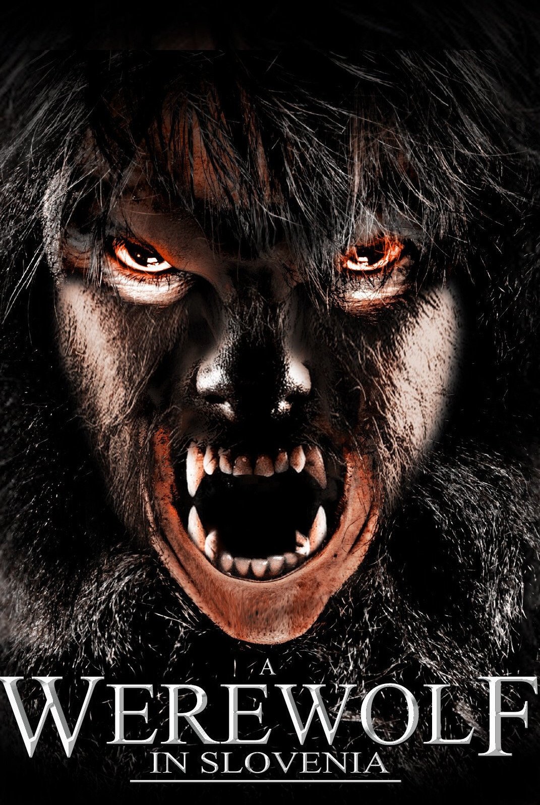 Poster de A Werewolf in Slovenia