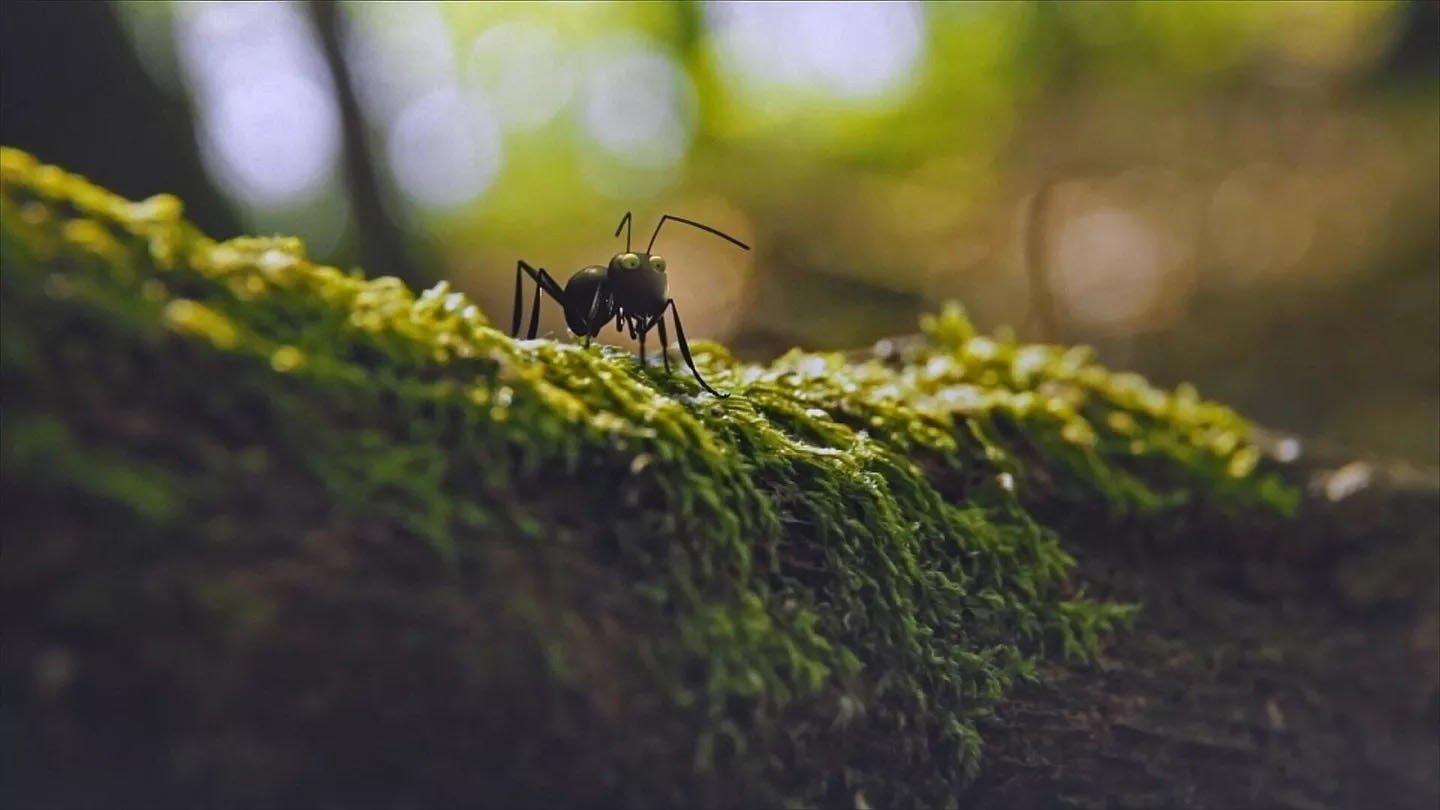 Les Parcs naturels... en Minuscule