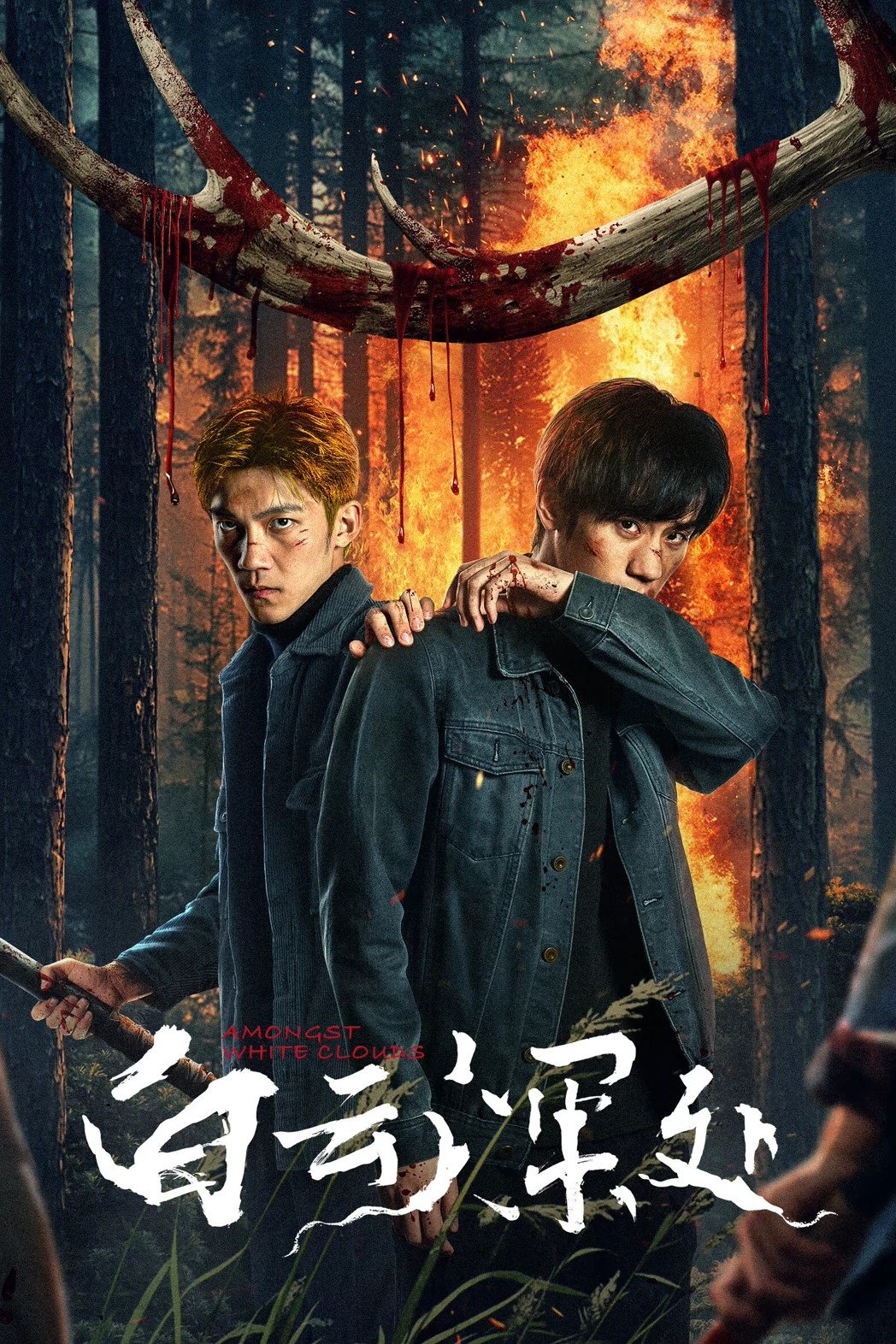 Poster de 白云深处