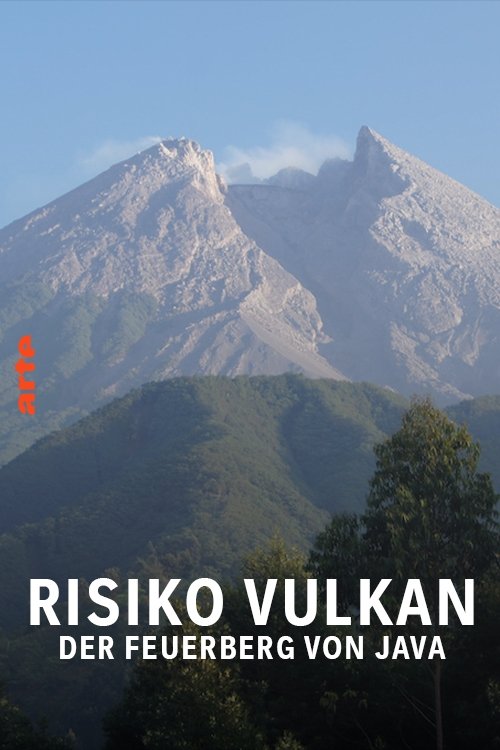 Poster de Risiko Vulkan - Der Feuerberg von Java