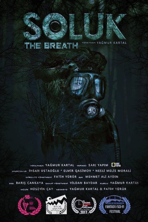 Poster de Soluk