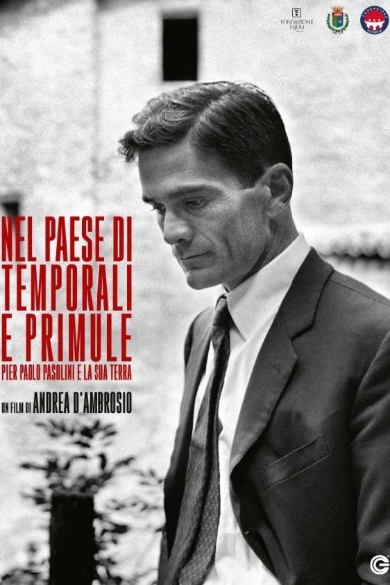 Poster de Nel paese di temporali e di primule - Pier Paolo Pasolini e la sua terra