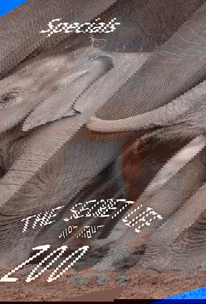 Poster de Especiais