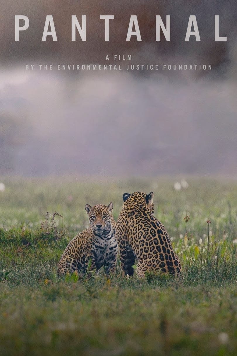 Poster de Pantanal