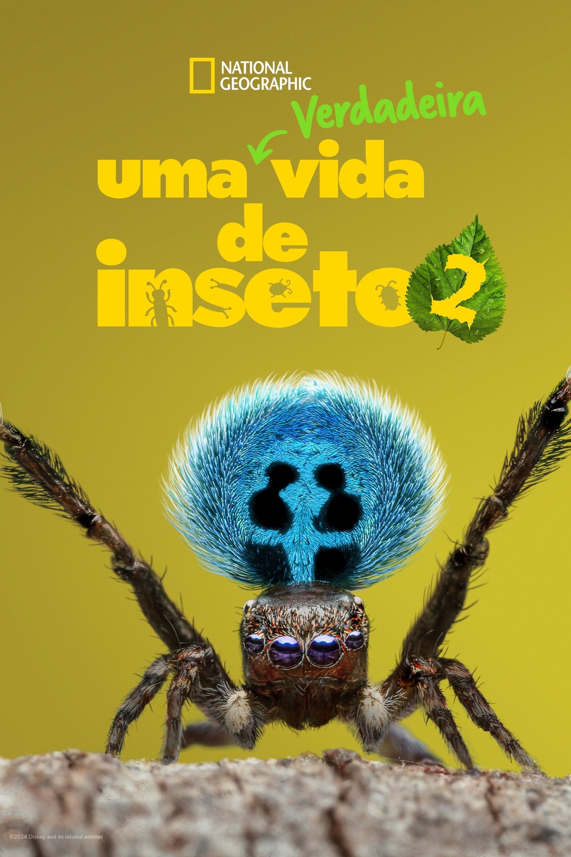 Poster de Temporada 2