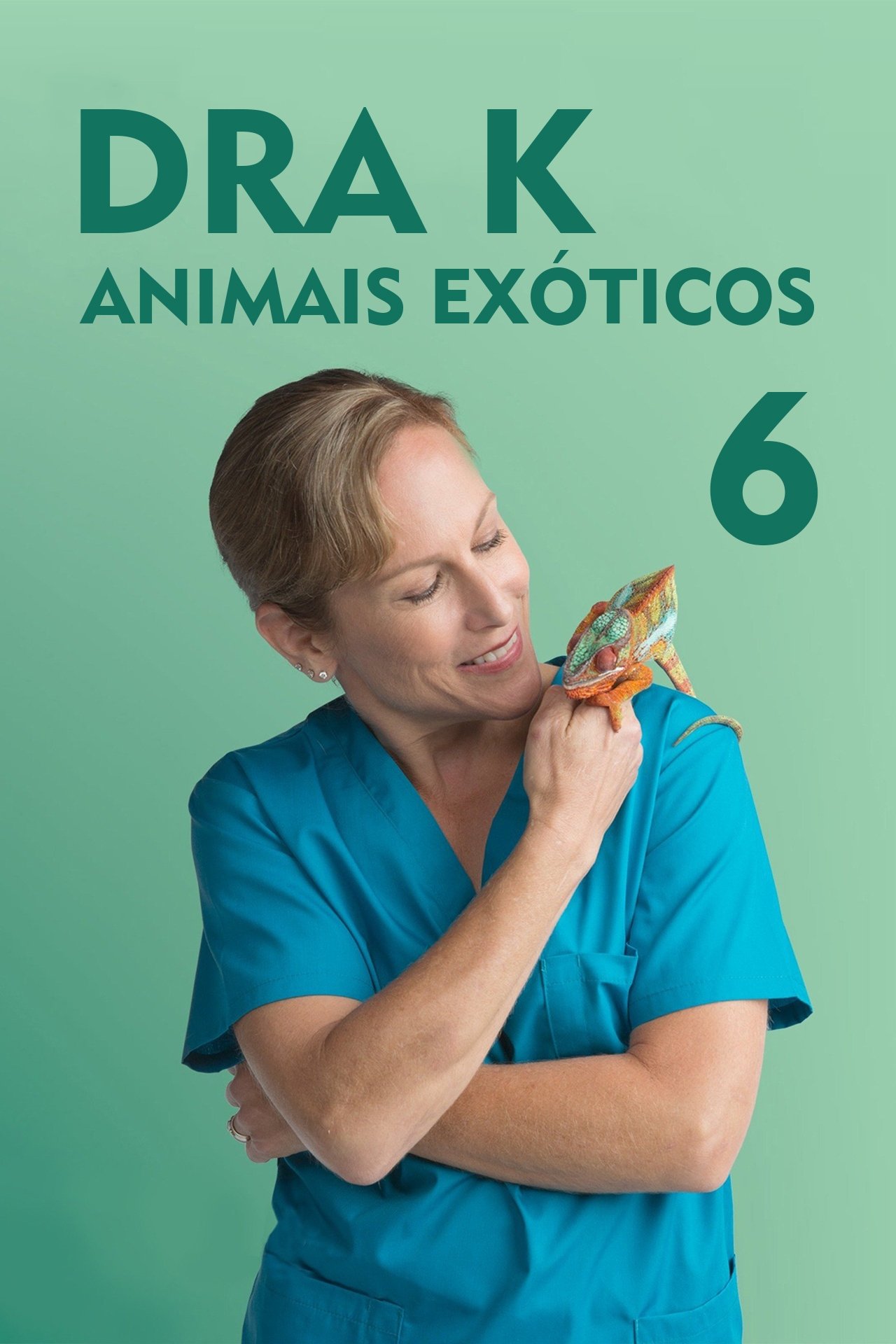 Poster de Temporada 6