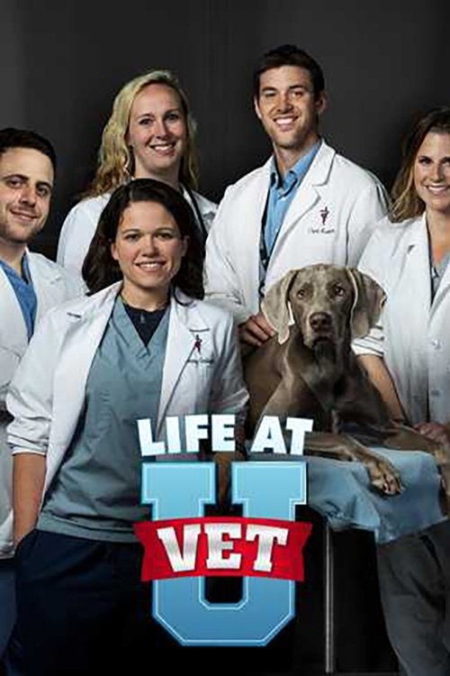 Poster de Life at Vet U