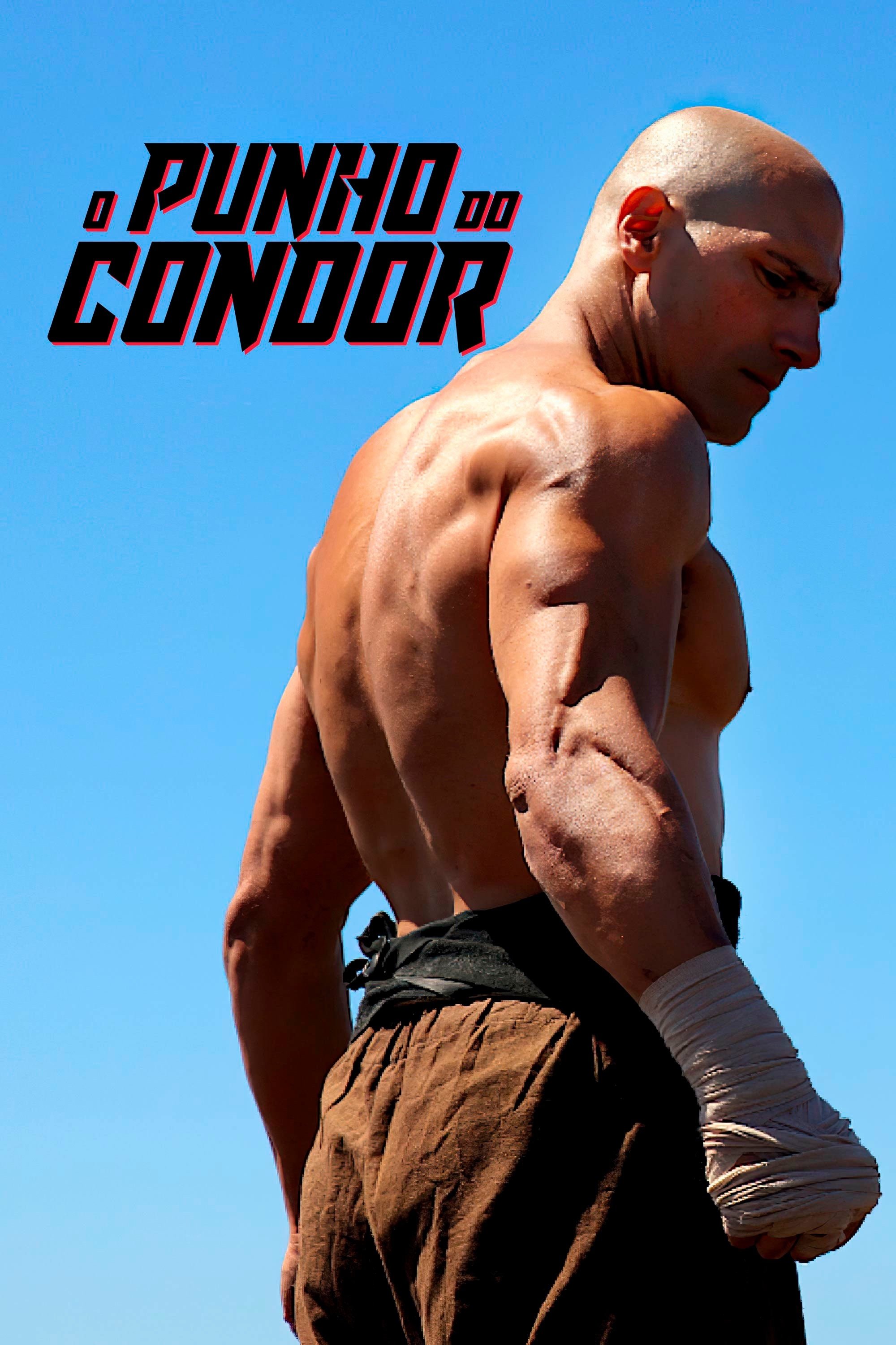 Poster de O Punho do Condor