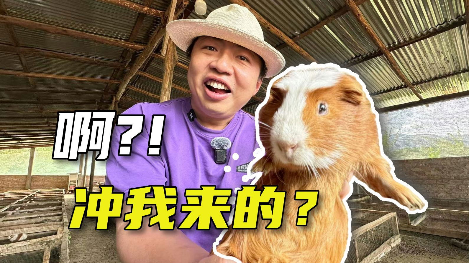 这趟玻利维亚的奇幻之旅，还要从我被一只豚鼠搓澡说起