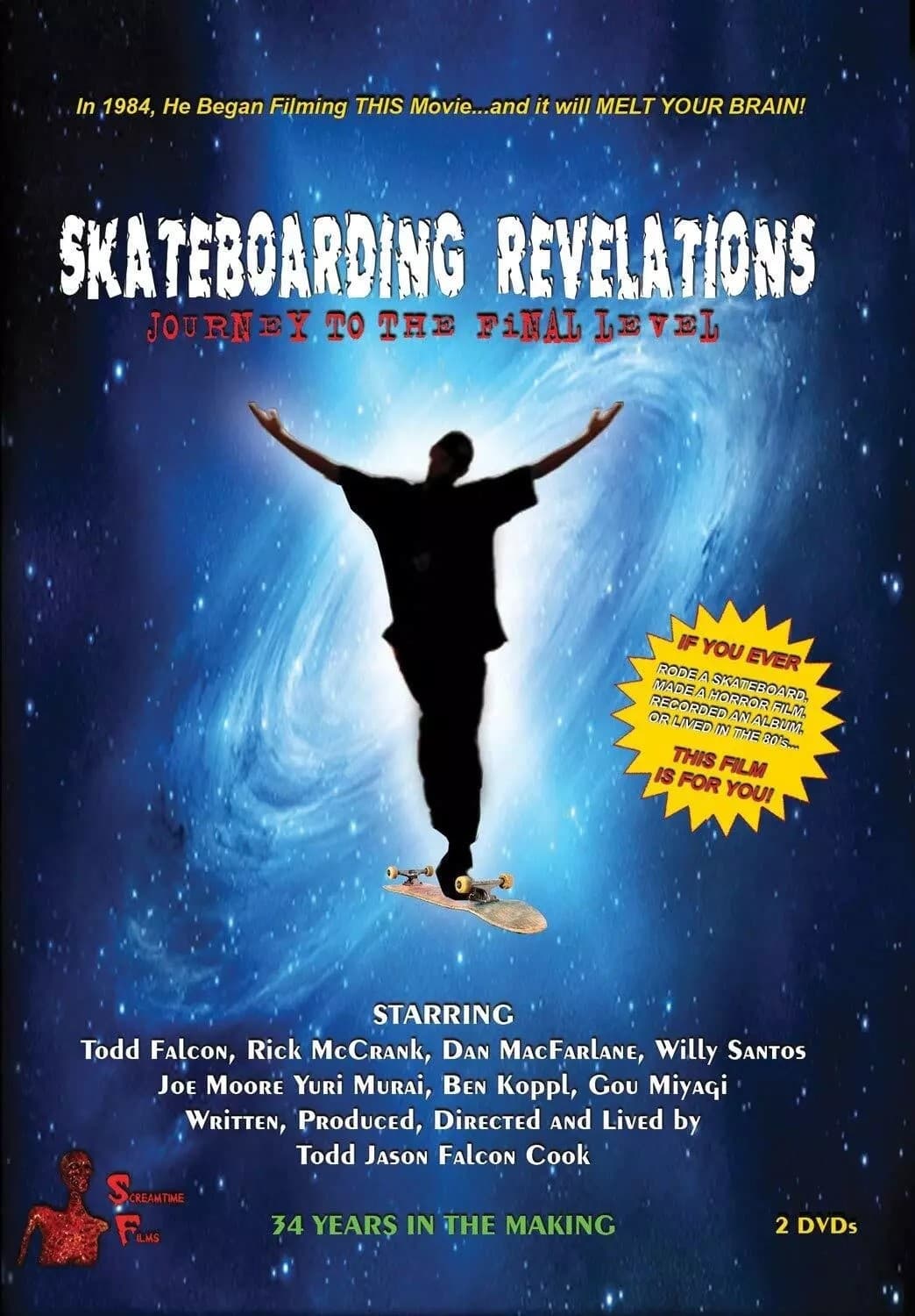 Poster de Skateboarding Revelations: Journey to the Final Level