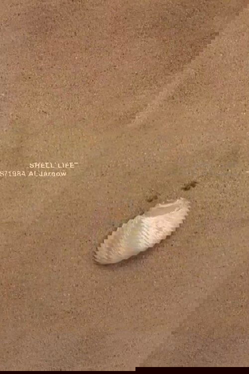 Shell Life